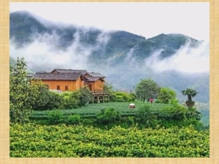 5归去来兮辞(并序)