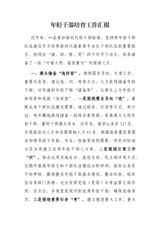 年轻干部培育工作汇报