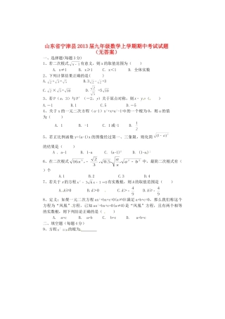 山东省宁津县九年级数学上学期期中考试试卷试卷
