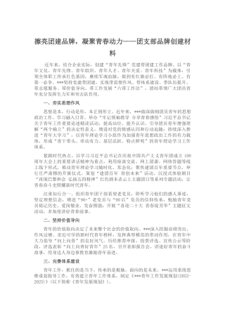 团支部品牌创建材料