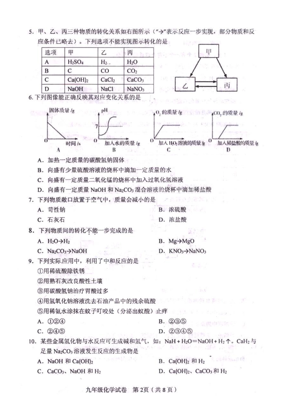 九年级化学结课质量检测试卷(pdf)试卷_第2页