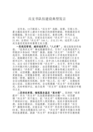 兵支书队伍建设典型发言