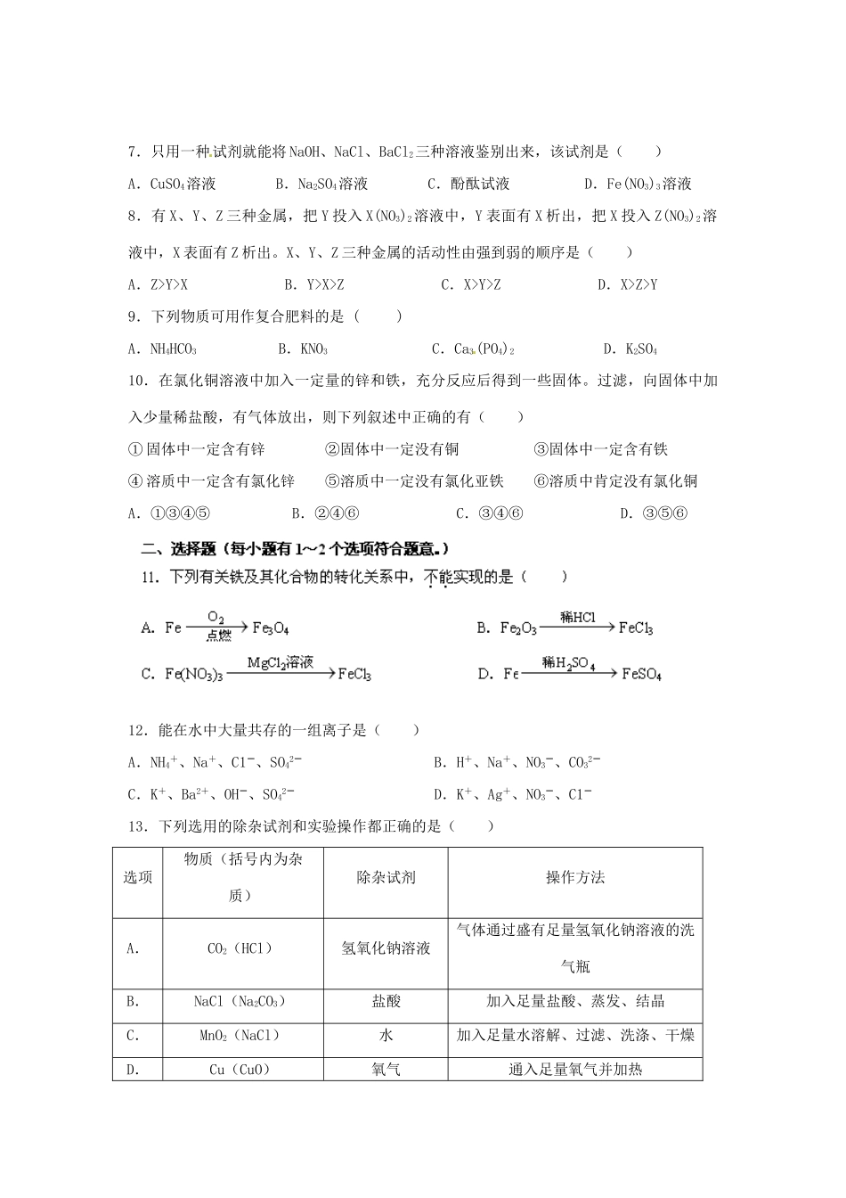 九年级化学下册 第十一单元 盐 化肥检测试卷(新版)新人教版试卷_第2页