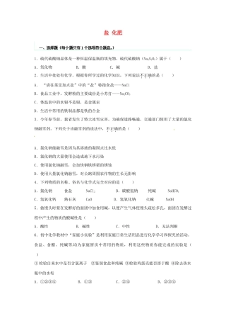 九年级化学下册 第十一单元 盐 化肥检测试卷(新版)新人教版试卷