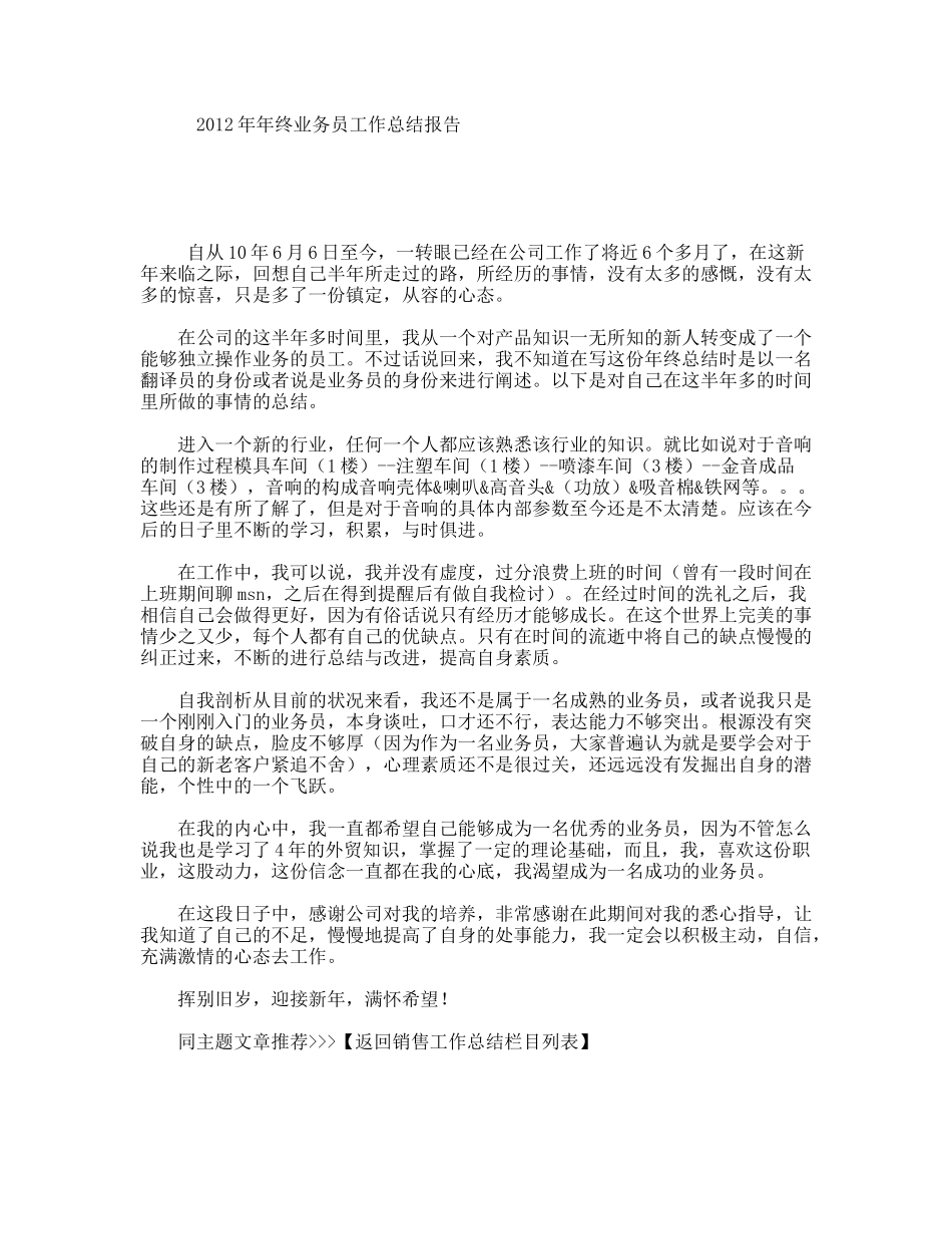 终业务员工作总结报告_第1页