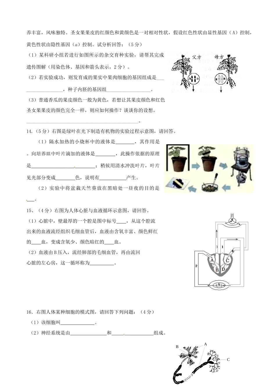 中考生物二轮模拟题2(无答案)试卷_第3页