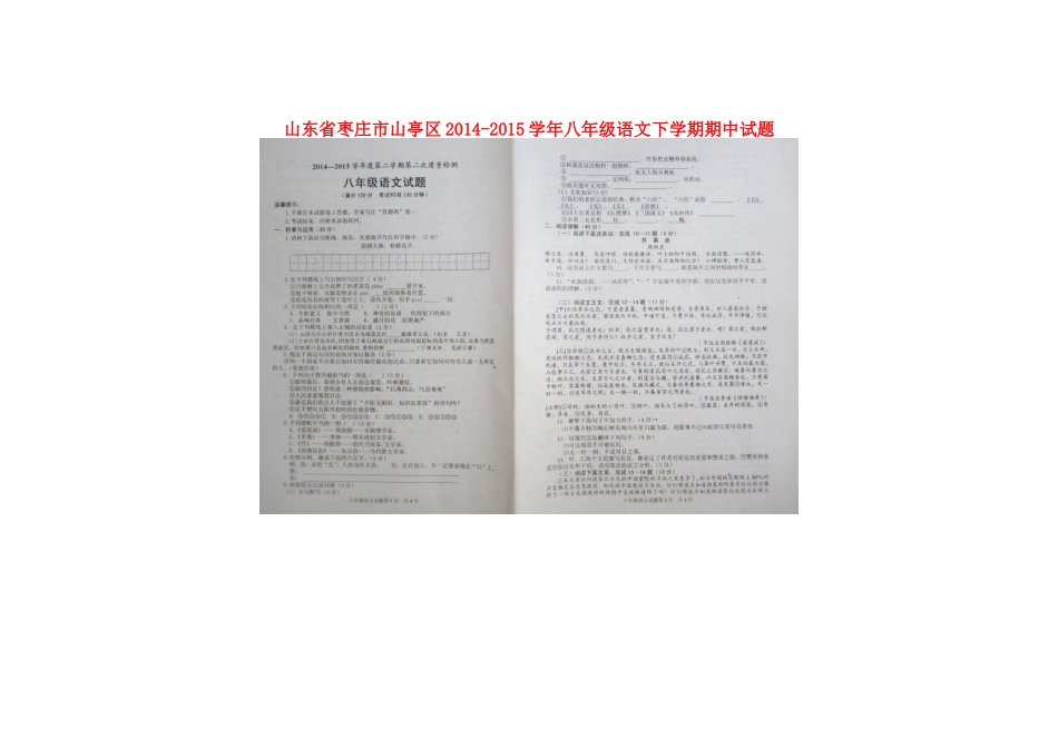 山东省枣庄市山亭区 八年级语文下学期期中试卷新人教版试卷_第1页