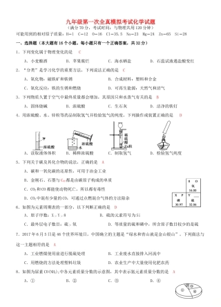 九年级化学下学期第一次全真模拟试卷试卷