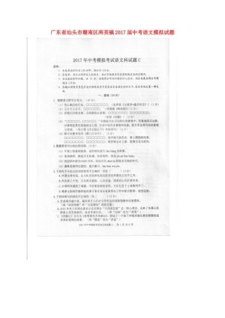 中考语文模拟试卷(扫描版，C卷)试卷