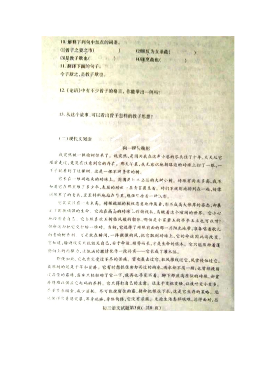 山东省龙口市八年级语文上学期期末考试试卷鲁教版五四制试卷_第3页