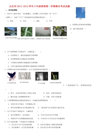 北京市八年级物理第一学期期末考试试题(无答案) 试题