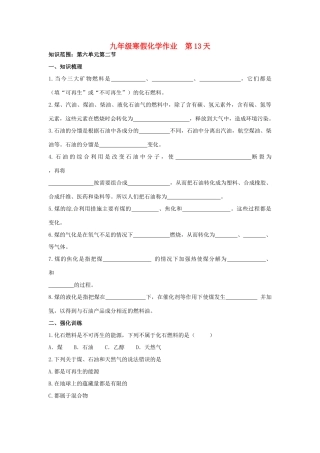 九年级化学上学期寒假作业 第13天 鲁教版试卷