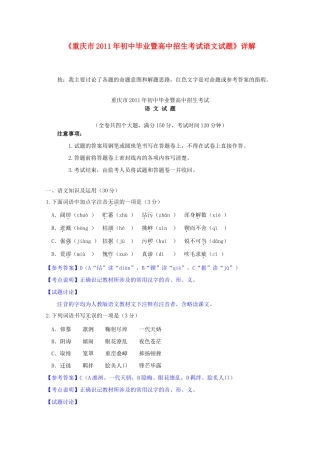 中考语文真题试卷详解试卷