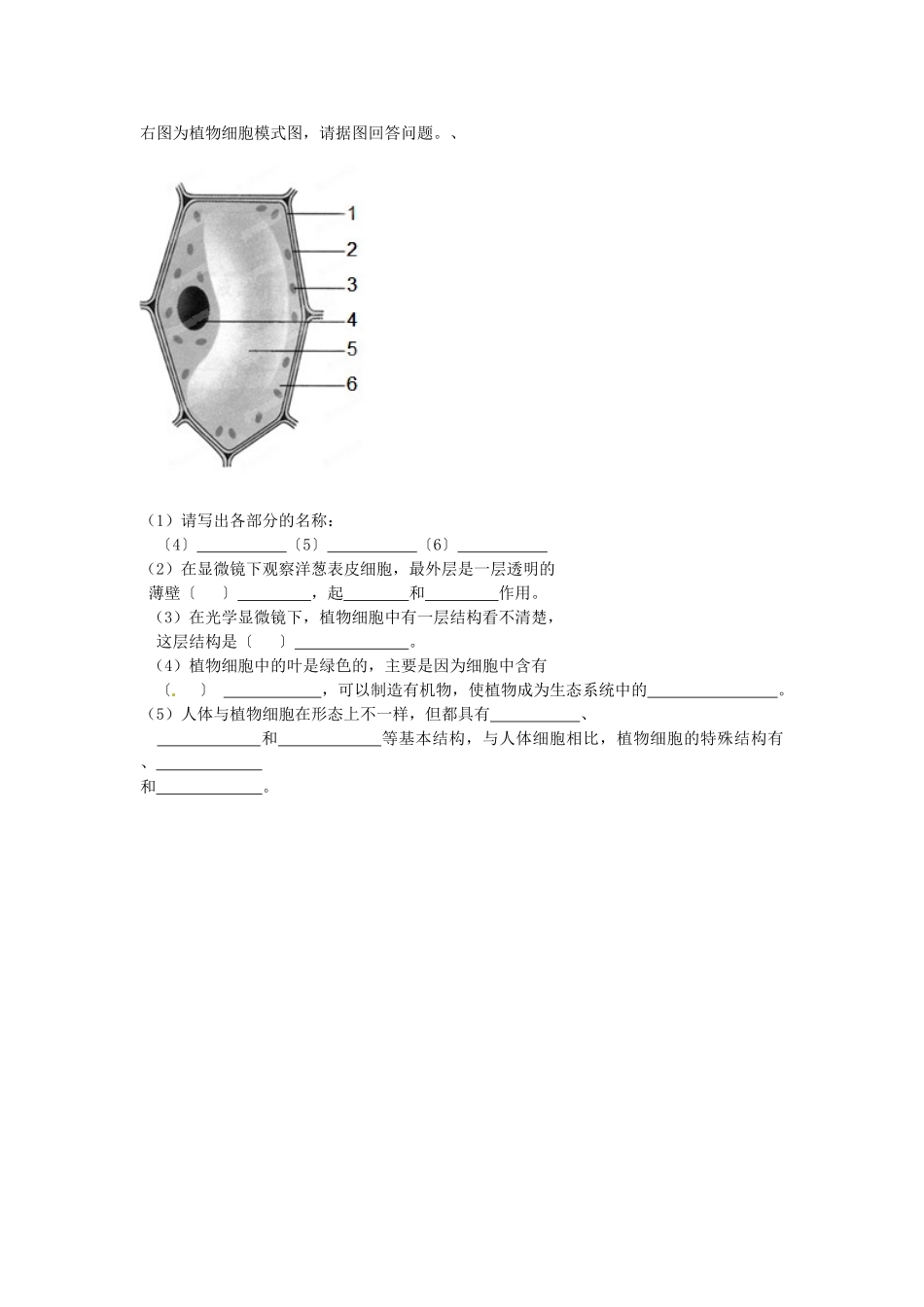 天津市武清区杨村五中七年级生物上学期周清试卷三 新人教版试卷_第2页