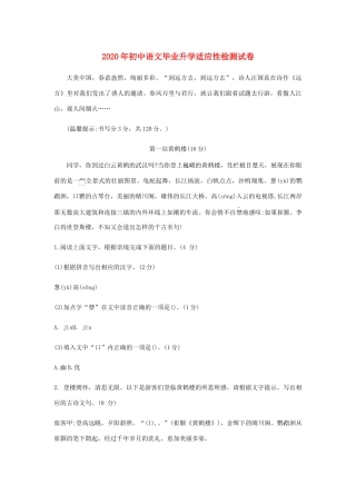 中考语文适应性检测试卷