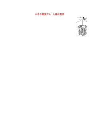 中考生物专题复习(六)人体的营养 人教新课标版试卷