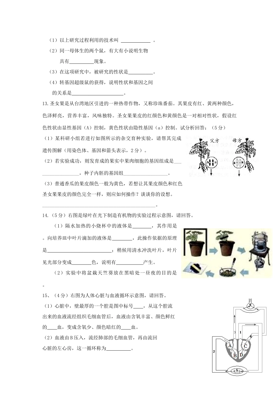 中考生物二轮模拟题17试卷_第3页
