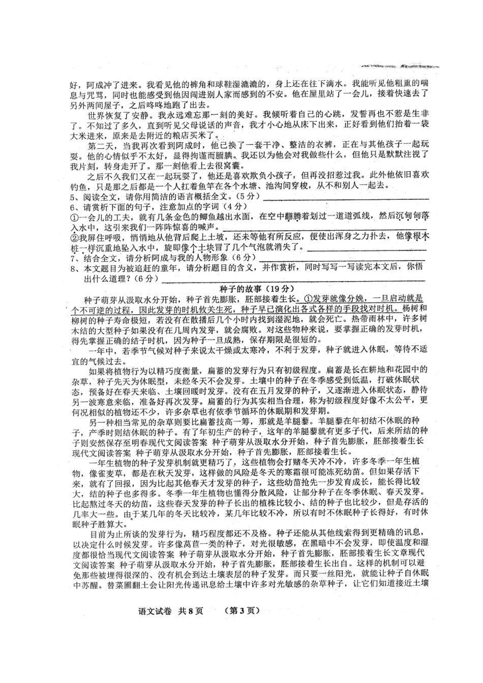 安徽省泗县九年级语文上学期第一次质量检测试卷新人教版试卷_第3页