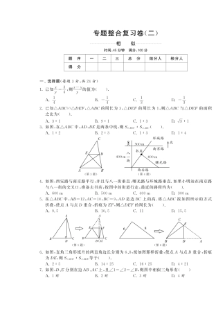 九年级数学下学期专题整合复习卷(二)(pdf) 新人教版试卷
