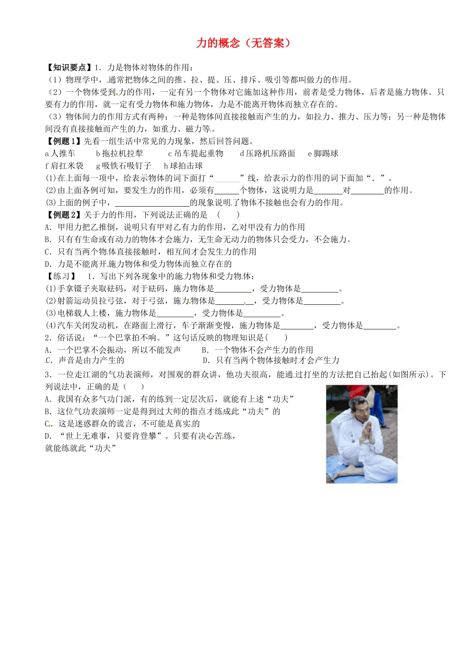 中考物理总复习 力的概念试卷_第1页