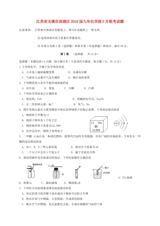 九年级化学3月联考试卷