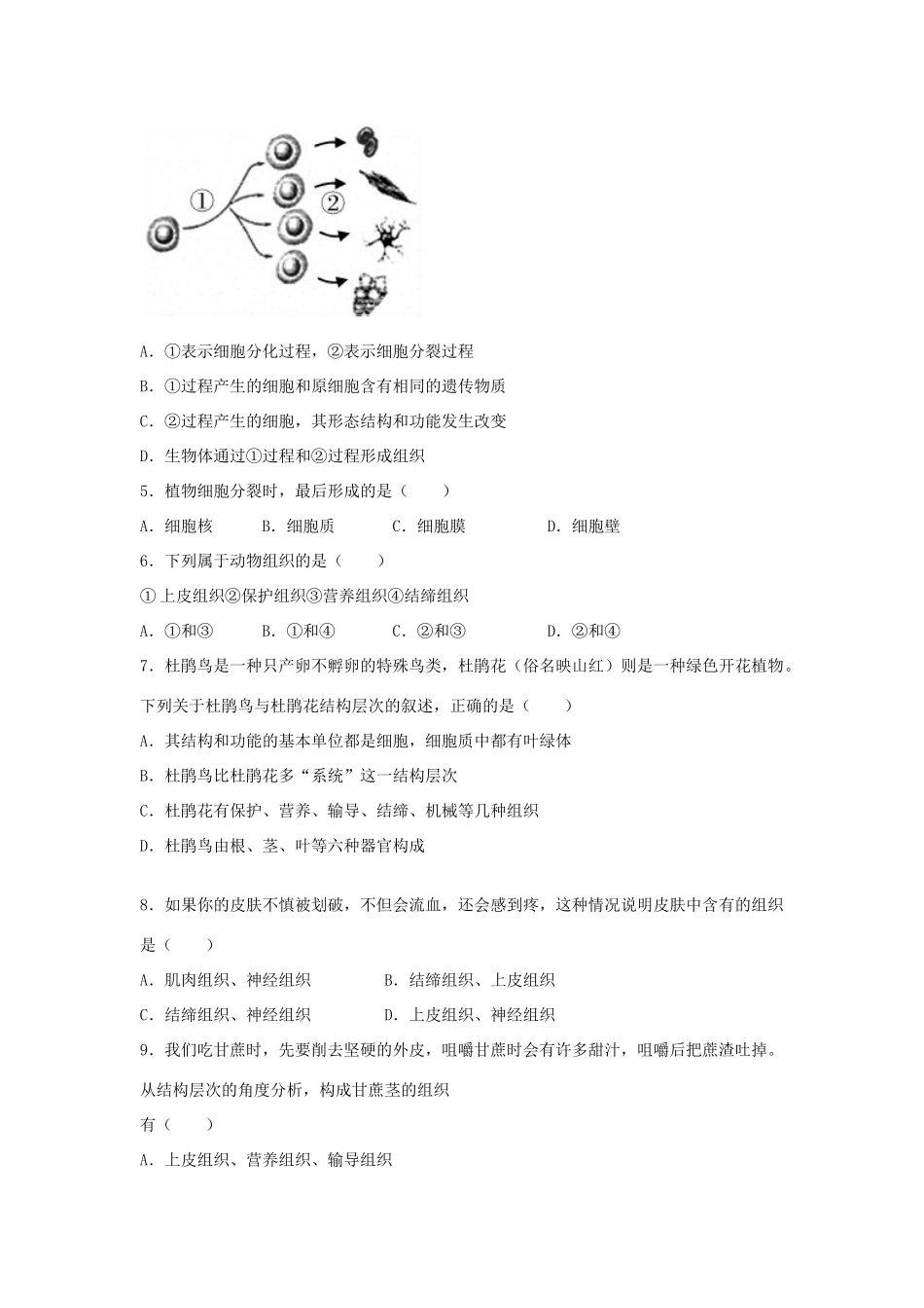 中考生物总复习 第二单元 第二章 细胞怎样构成生物体典题精炼试卷_第2页