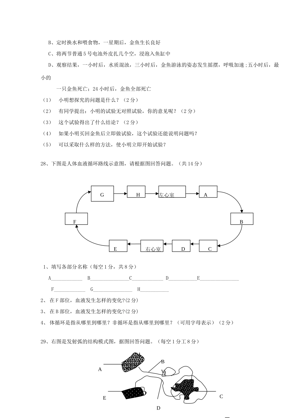 安徽省庐江县七年级生物第二学期期末考试卷_第3页