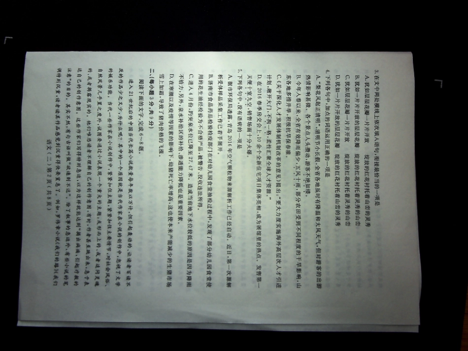 山东省聊城市高三语文第二次模拟考试试卷PDF试卷_第2页