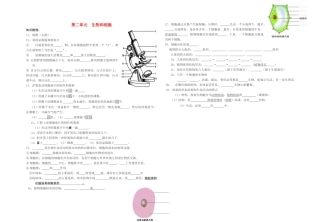 中考生物 第二单元 生物和细胞知识梳理试卷