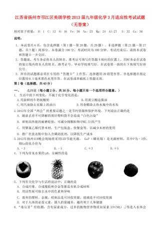 九年级化学3月适应性考试试卷试卷