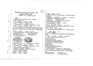 山东省青岛市城阳区七年级历史上学期月考试卷(pdf)试卷