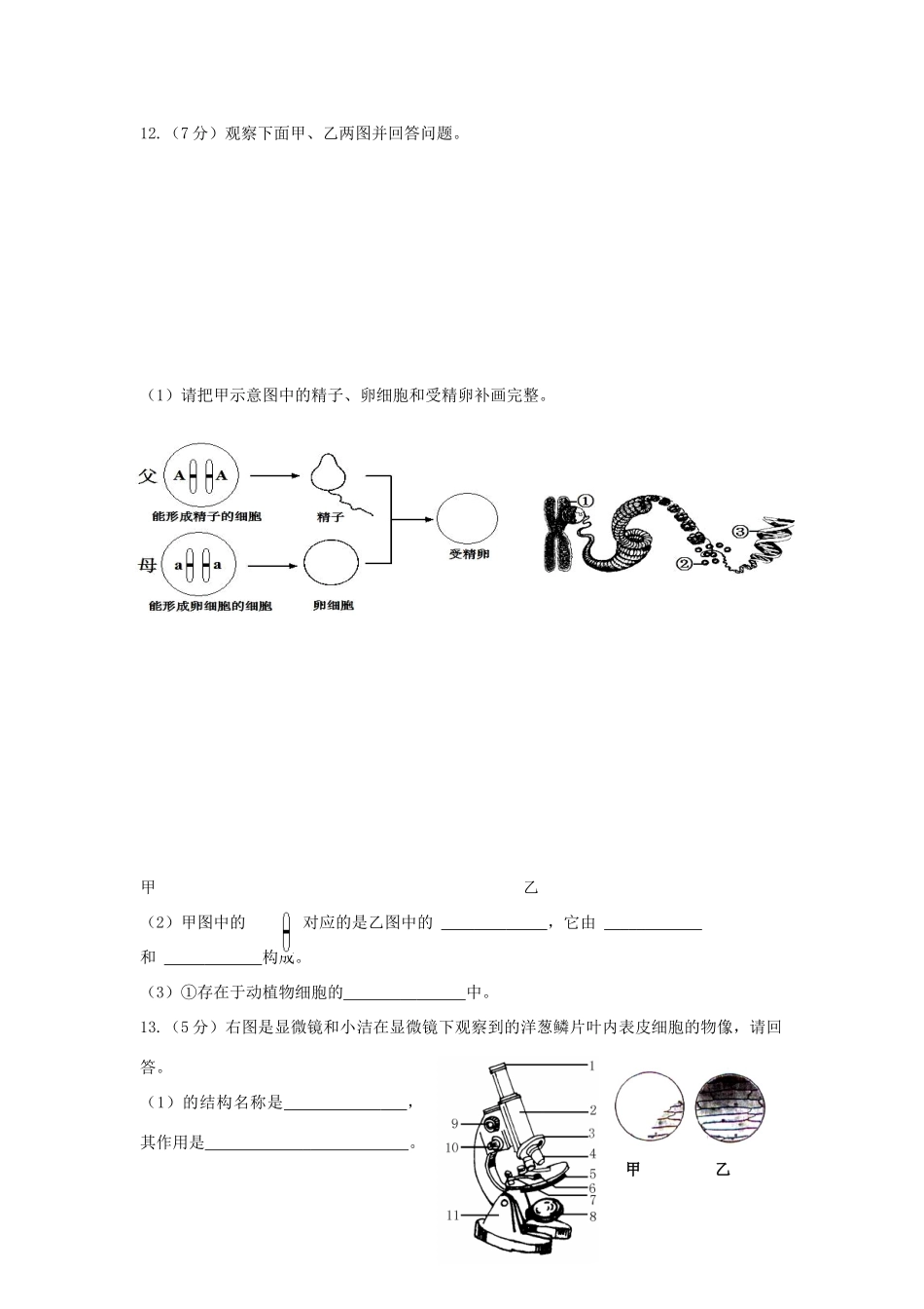 中考生物二轮模拟题18试卷_第3页
