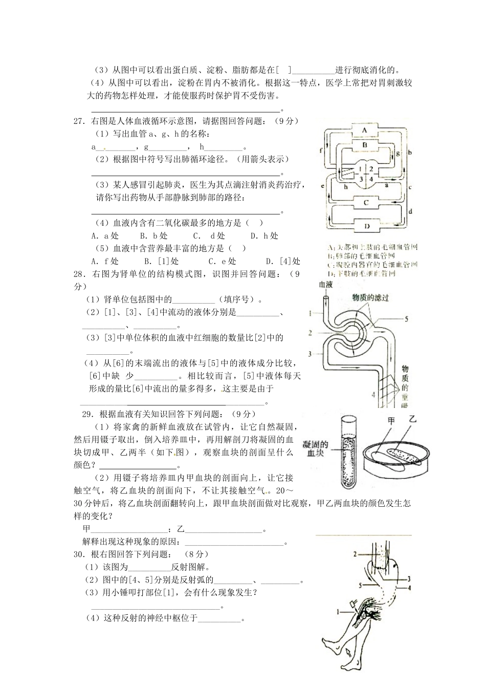 山东省潍坊市四县市七年级生物下学期期末质量监测试卷_第3页