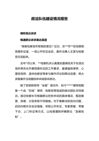 政法队伍建设情况报告