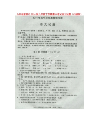 山东省新泰市九年级语文下学期期中试卷试卷