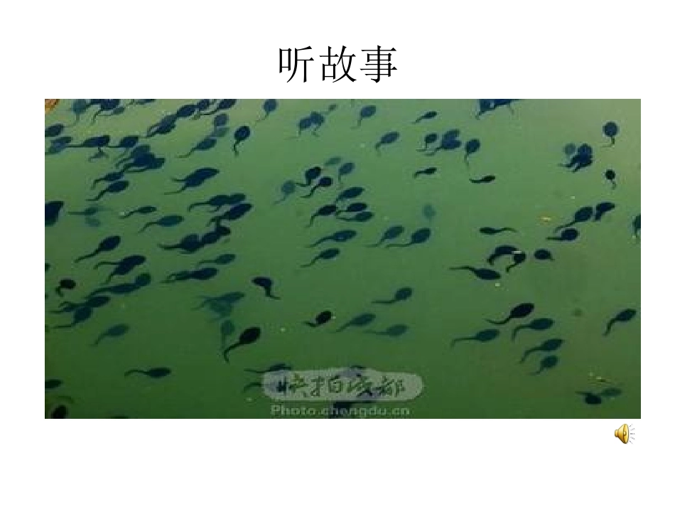 小蝌蚪找妈妈(第二课时)_第3页