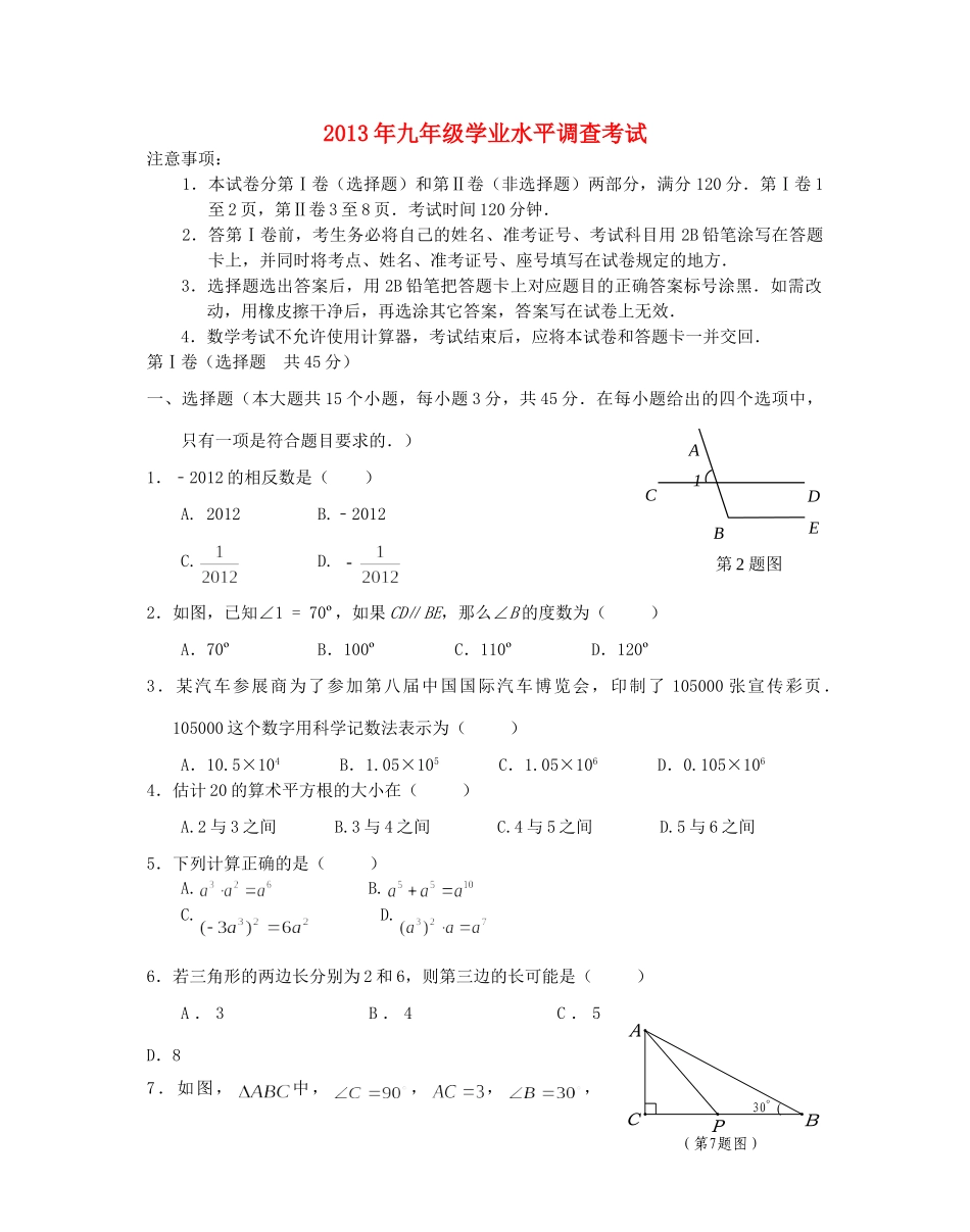 九年级数学学业水平调查考试试卷试卷_第1页