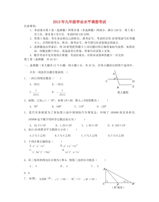 九年级数学学业水平调查考试试卷试卷