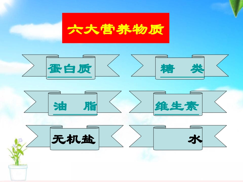 课题1-人类重要的营养物质_第3页