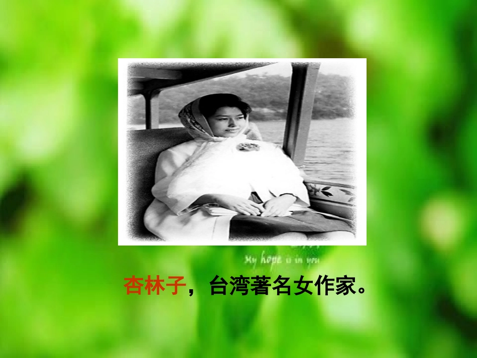 19生命生命课件_第2页