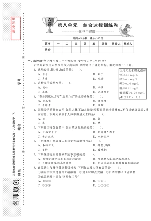 九年级化学全册 第十单元 综合达标训练卷(A卷)(pdf)(新版)鲁教版试卷