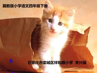 6.我们家的猫