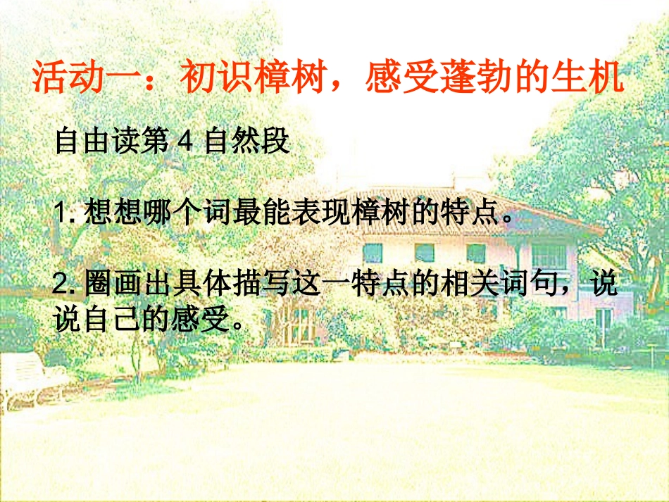 22宋庆龄故居的樟树_第2页