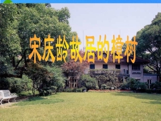 22宋庆龄故居的樟树