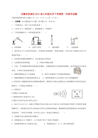 安徽省宣城市九年级化学下学期第一次联考试卷