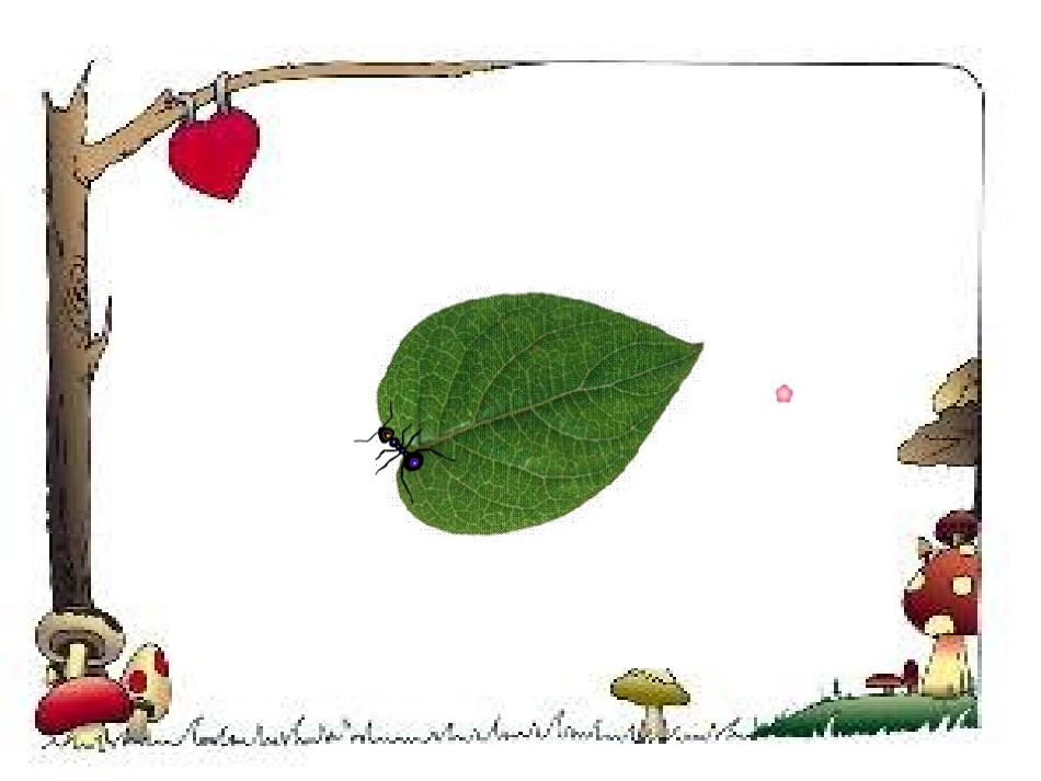 什么是周长的课件_第2页