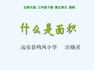 小学数学北师大2011课标版三年级面积-(3)
