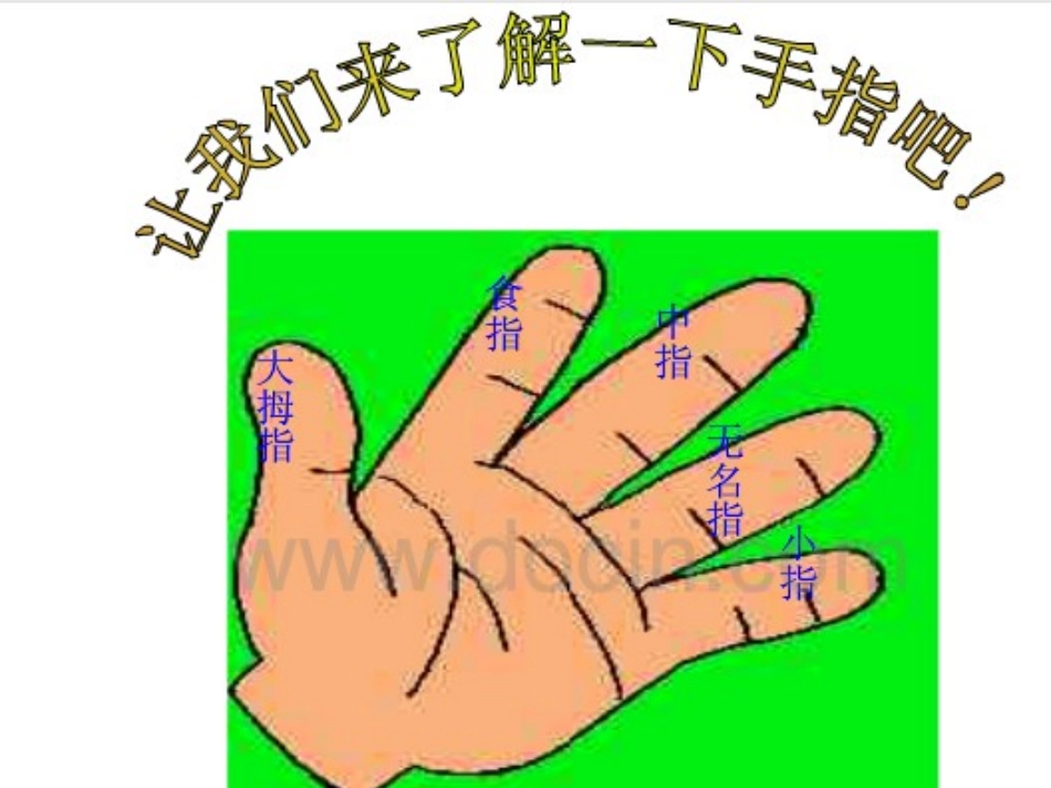 六下手指PPT_第2页