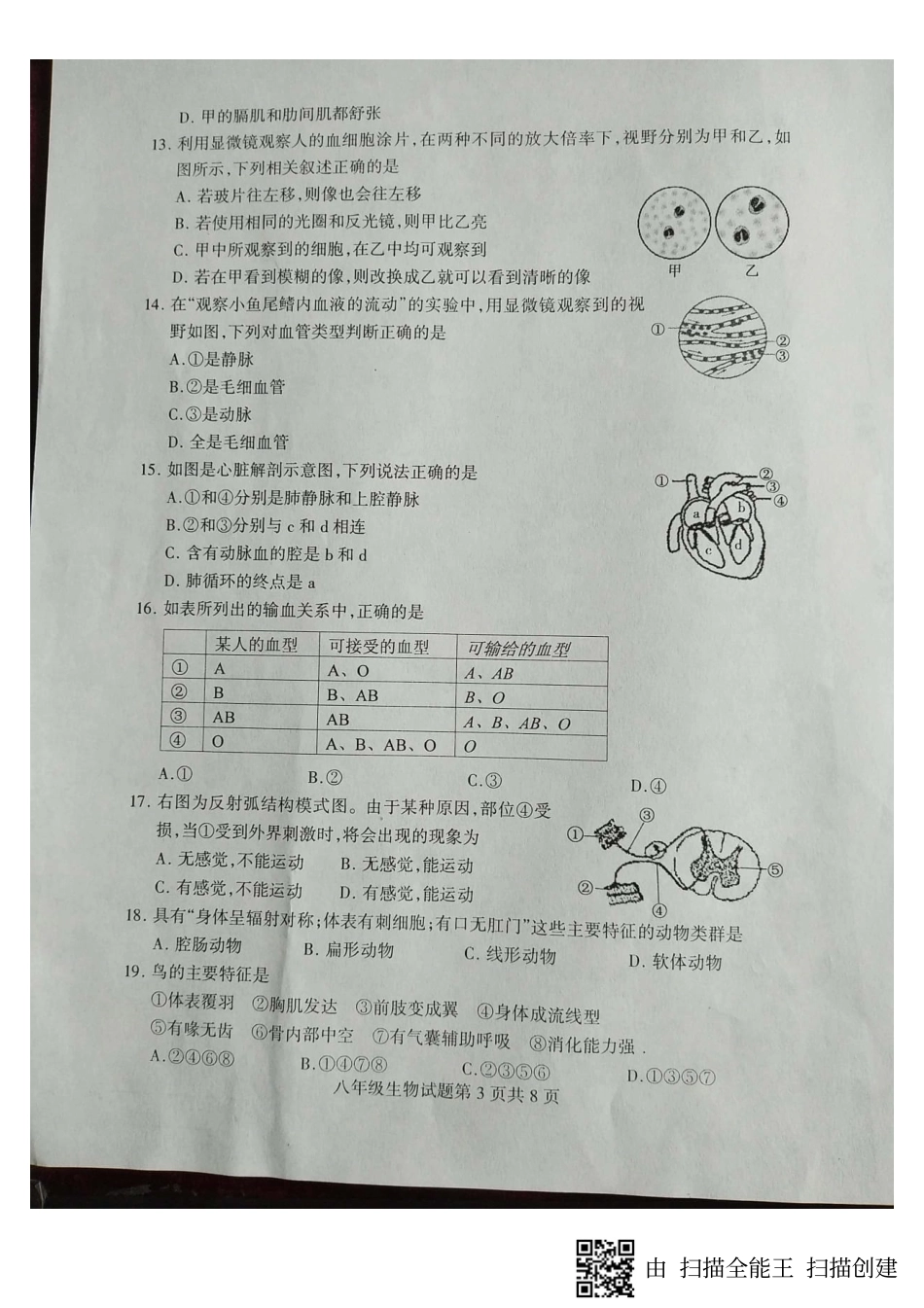 山东省临沂市费县八年级生物下学期期中试卷(pdf) 新人教版 山东省临沂市费县八年级生物下学期期中试卷(pdf) 新人教版 山东省临沂市费县八年级生物下学期期中试卷(pdf) 新人教版_第3页