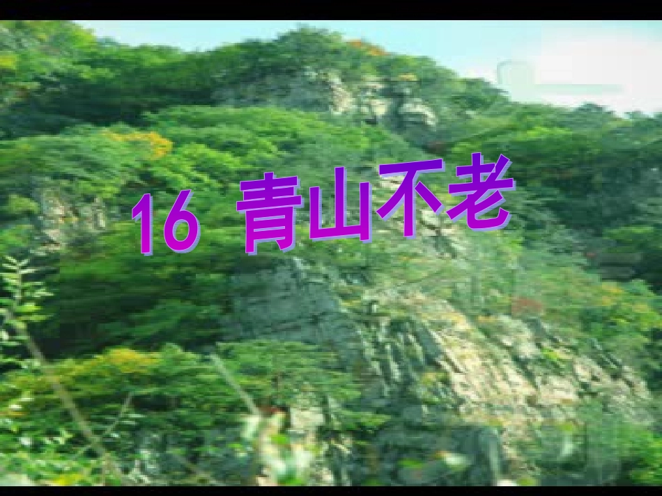 新池(雷红娟)_第1页